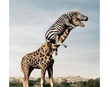 Un malaise qui s'installe