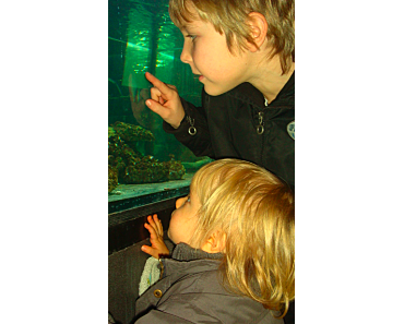 Une sortie originale avec les enfants