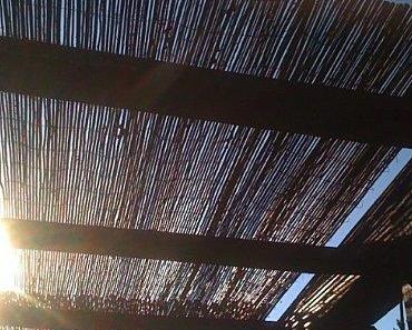 Et si on fêtait le printemps ? #1