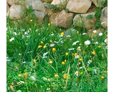 Et si on fêtait le printemps ? #3