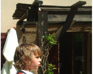 La chasse aux oeufs : une première !