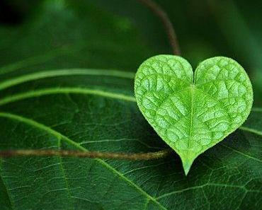 Un tel besoin d'être aimé