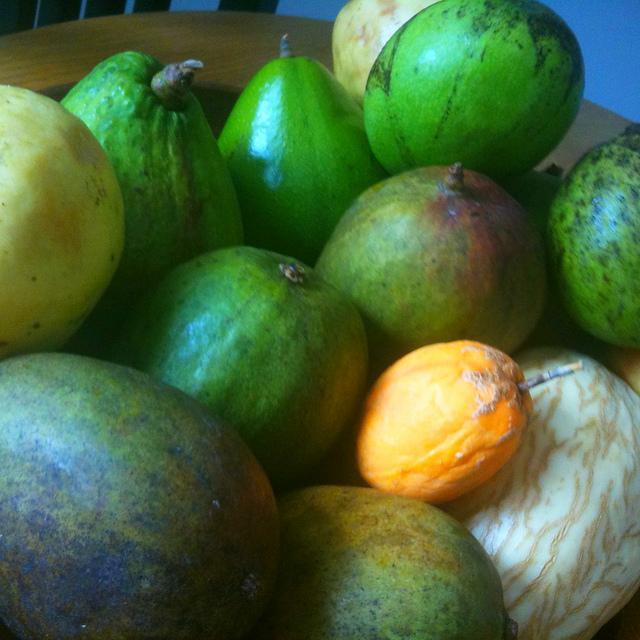 Mois de décembre: On nage en plein été