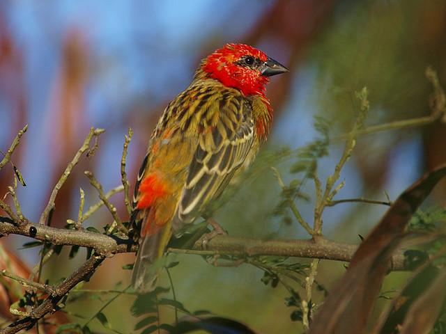 Mois de décembre: On nage en plein été