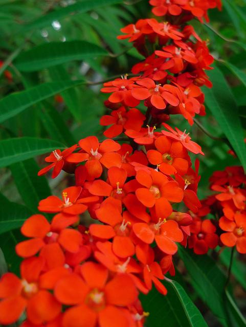 Mois de décembre: On nage en plein été