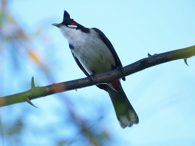 Mois de décembre: On nage en plein été
