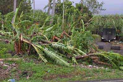 Et pour la nouvelle année, un cyclone nommé Dumile! Et pour la nouvelle année, un cyclone nommé Dumile!