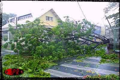 Et pour la nouvelle année, un cyclone nommé Dumile! Et pour la nouvelle année, un cyclone nommé Dumile!