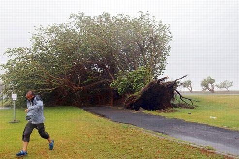 Le jour où Dumile est arrivé