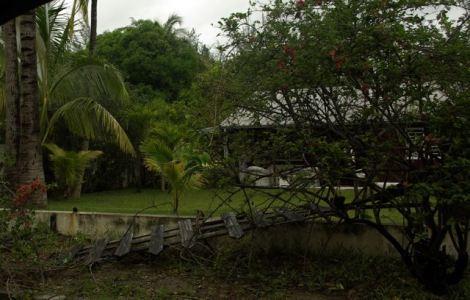 Des voisins ont eu leur clôture arrachée à cause des chutes des arbres