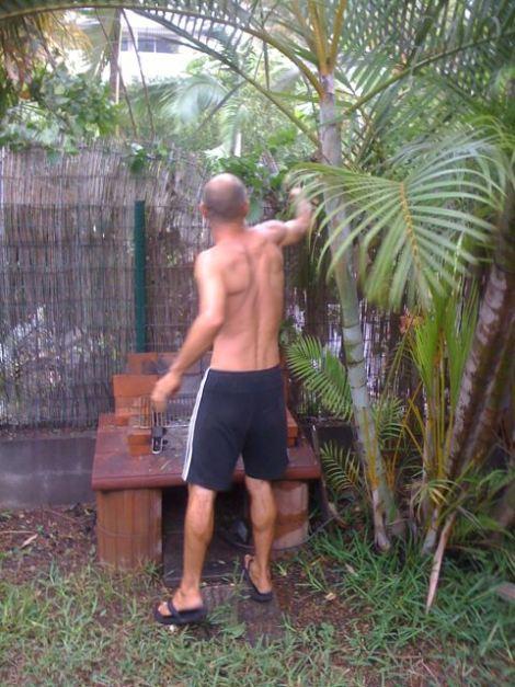 photo-passage-dumile-coupe-palmier