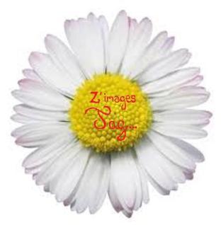 Le z'images tag, une idée de Lalotte