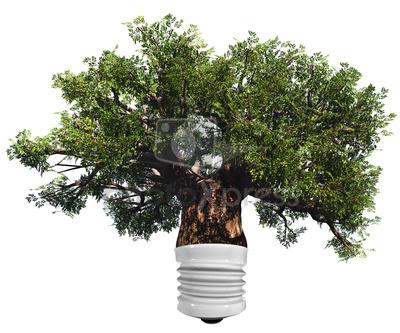 Qui a déjà une place en crèche sur Paris? C’est nous!