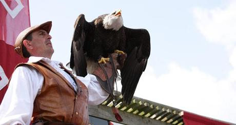 Plein les yeux au Puy du fou? Plein les yeux au Puy du fou?