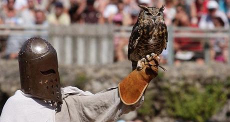 Plein les yeux au Puy du fou? Plein les yeux au Puy du fou?
