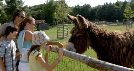 Plein les yeux au Puy du fou? Plein les yeux au Puy du fou?