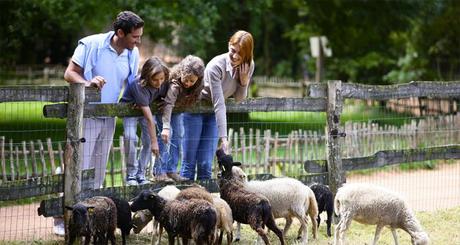 Plein les yeux au Puy du fou? Plein les yeux au Puy du fou?