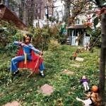 American Photography Awards 29