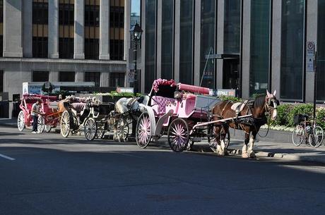 3 jours pour visiter Montréal à la cool