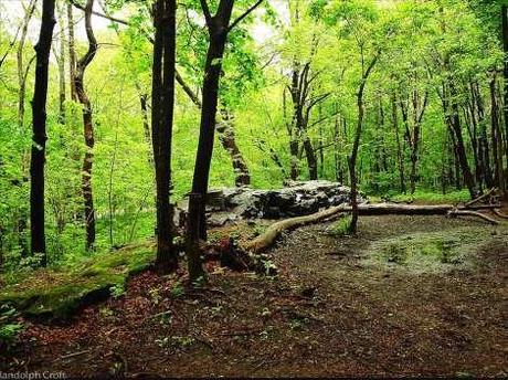 Randolph Croft Photography Mont Royal