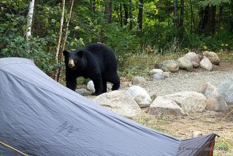 Sous la tente, au milieu de rien (croit-on)