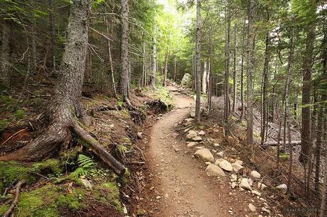 Sous la tente, au milieu de rien (croit-on)