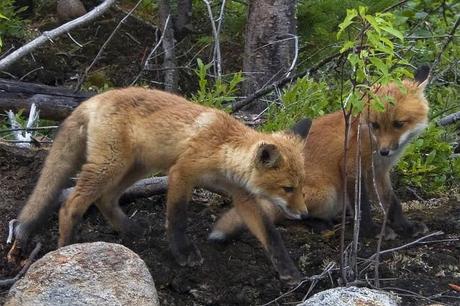 Sous la tente, au milieu de rien (croit-on)