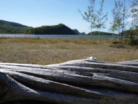 {Road trip Québec} Etapes finales en beauté avec le Bic et Tremblant parc du bic