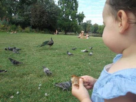 Transformer une banale sortie… Avec du pain rassi! dupainrassipourlescanards1