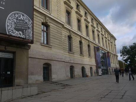 Notre sortie au Museum d’histoire naturelle visite-museumhistoirenaturelle