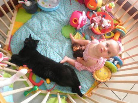 Un parc pour un bébé qui bouge