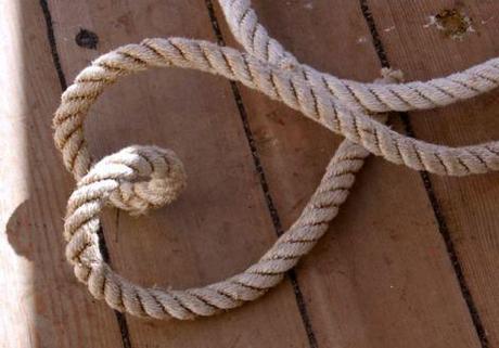 Deux ans et demi: le demi qui compte Signe que l'on est sur la bonne voie?