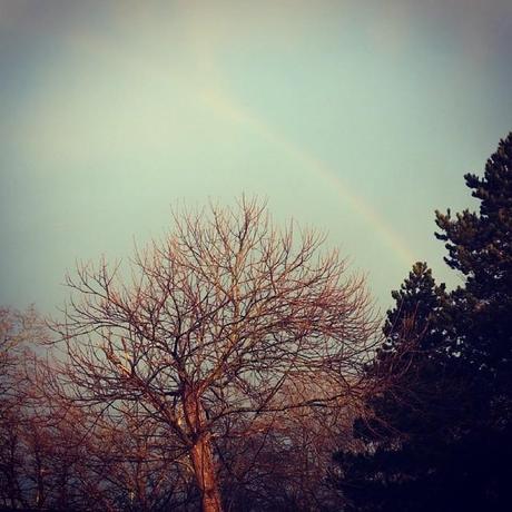 L'Arc-en-Ciel du lundi matin, qui te donne le sourire avant d'attaquer la semaine...