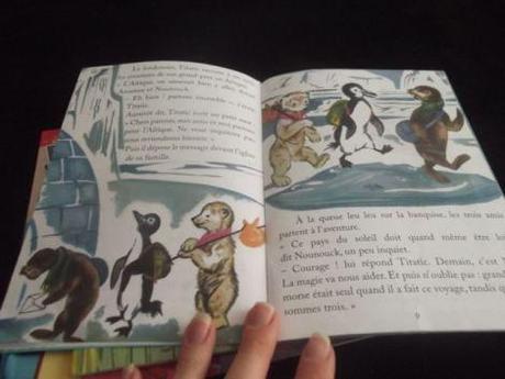 Titatic, le petit morse