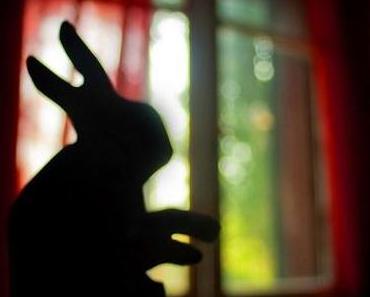 Quand ma fille perd sa langue et parle avec la main (langage des signes)