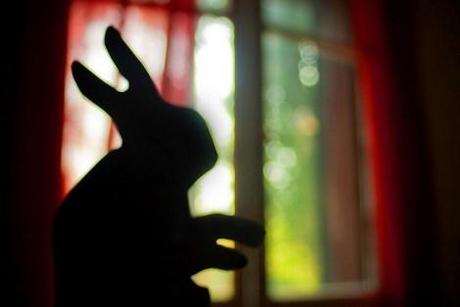 Lapin réalisé avec deux mains en ombre chinoise