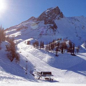 Quatre ans sans voir la neige