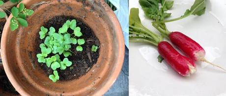 gardening-kids