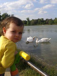 dupainrassipourlescanards3