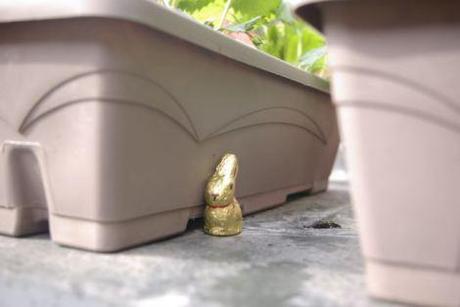 Recherche oeufs de Pâques pour mignonnes petites filles chasse-oeufs-paques-2