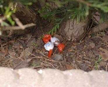 Recherche oeufs de Pâques pour mignonnes petites filles