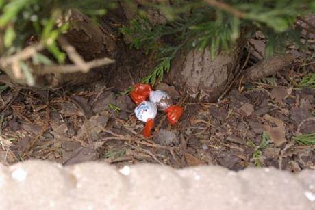 Recherche oeufs de Pâques pour mignonnes petites filles chasse-oeufs-paques-1