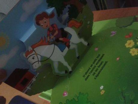 La ferme du poney en relief {Chut les enfants lisent} fermeduponey-livre