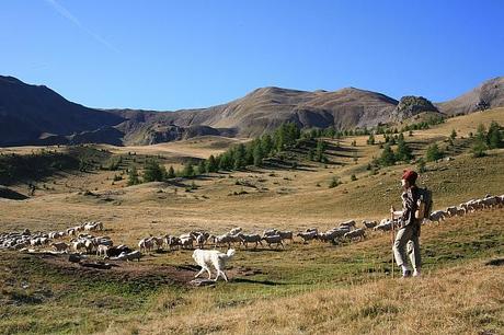 Résa des vacances à la montagne : check ! Résa des vacances à la montagne : check !