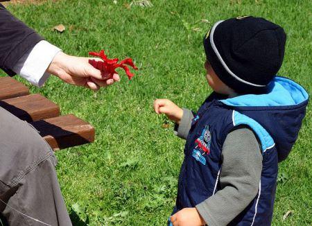 transmission parent enfant