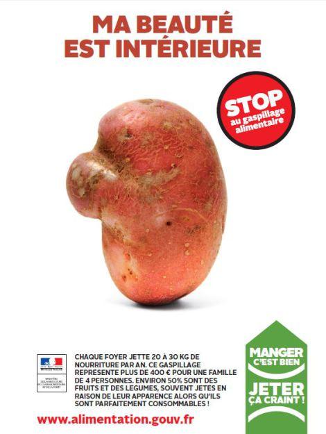 Pomme de terre anti gaspi