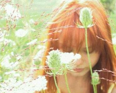 wallpaper-1689754