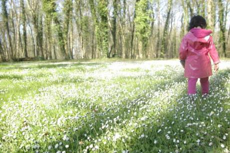 Viens en Vienne dormir dans des cabanes et profiter de la nature!