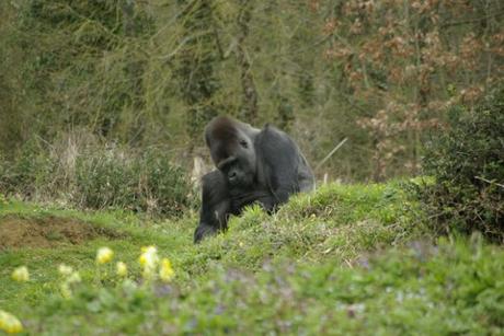 Viens en Vienne dormir dans des cabanes et profiter de la nature!