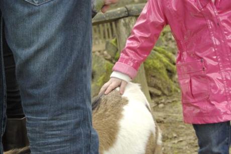 Viens en Vienne dormir dans des cabanes et profiter de la nature!
